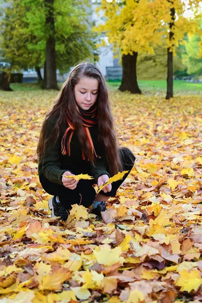 Милая Девушка Теплом Свитер Шарф Сидит Среди Осенних Листьев Парке — стоковое фото