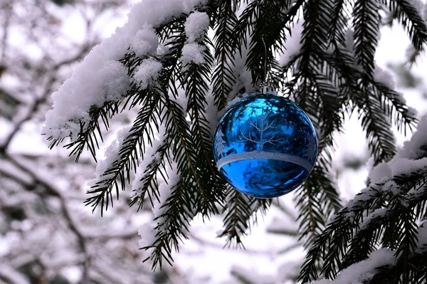 蓝色的圣诞球玩具装饰着白雪覆盖的冷杉树 — 图库照片