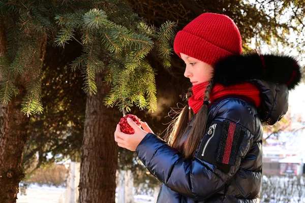 Dziewczyna Naturalnej Choince Zabawką Świąteczną Rękach Zimie — Zdjęcie stockowe