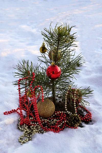 Petit Sapin Noël Décoré Dans Forêt — Photo