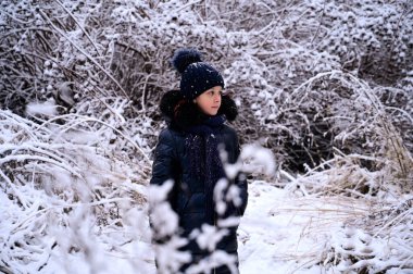 Kışın karla kaplı ağaçların arasında