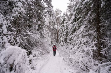 Karla kaplı bir ormanda yürüyen bir adam