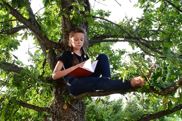 Menina Adolescente Bonito Está Sentado Ramo Árvore Grande Carvalho Parque — Fotografia de Stock