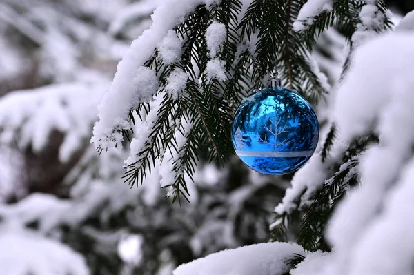 Brinquedo Bola Natal Azul Decora Uma Árvore Natal Coberta Neve — Fotografia de Stock