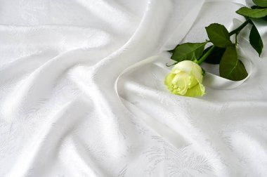 Beyaz ipek arka planda güzel bir beyaz gül. Sevgililer Günü 'nü kutlarım, mutlu yıllar. Boşluğu kopyala