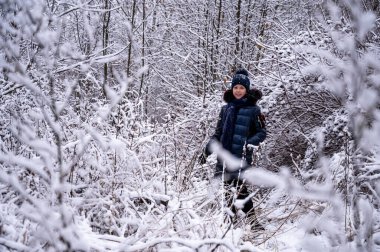 Kışın karla kaplı ağaçların arasında