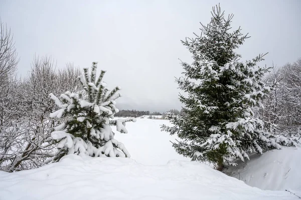 Zimní Krajina Zasněženými Stromy Zamrzlou Řekou Klid Ticho — Stock fotografie