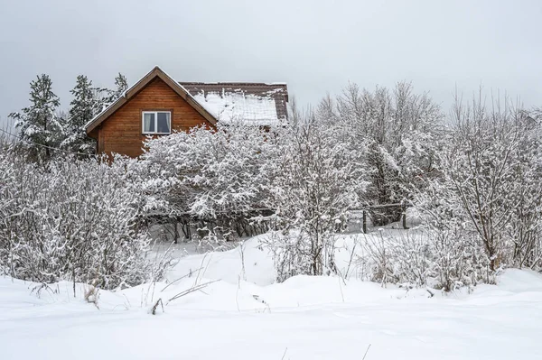 冬天的风景 白雪覆盖的村庄 宁静祥和 小房子 树和道路上都被雪覆盖着 — 图库照片