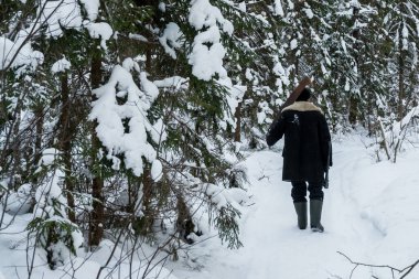 man in warm sheepskin coat with hand saw on his shoulder walks through winter forest. Rear view. Road and trees are covered with snow
