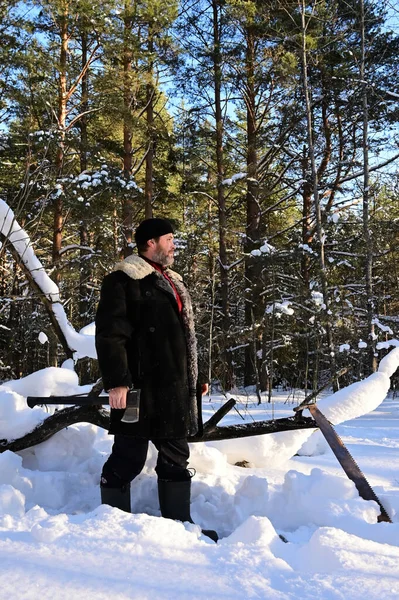 lumberjack in forest with an axe. Brutal man with beard in winter snow-covered forest. Man is dressed in warm sheepskin coat, holding an axe in his hands. Harvesting of firewood