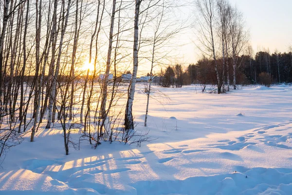 Zimní Krajina Mrazivého Slunečného Dne Sluneční Paprsky Pronikají Větvemi Stromů — Stock fotografie