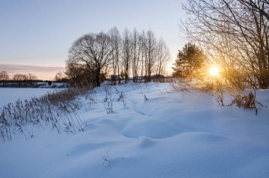 Soğuk ve güneşli bir sabahta kış manzarası. Güneş ışınları ağaçların dallarını delip geçer. Her yer karla kaplı.