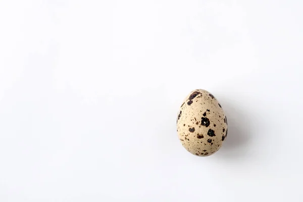 Одно Перепелиное Яйцо Белом Фоне Вид Сверху Домашняя Кухня Идея — стоковое фото