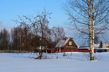 Güneşli bir günde kırsal kesimde ahşap evler olan güzel bir kış manzarası. Ağaçlar ve ev karla kaplıdır. Güneş mavi gökyüzünde parlıyor.