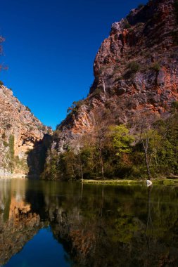 Su nehri dağları ağaçlar doğa manzarası