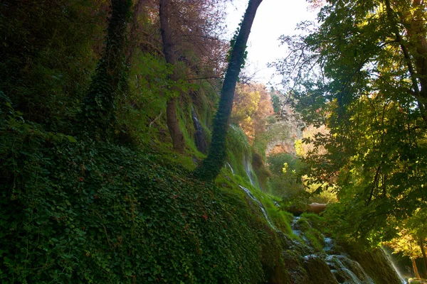 Cachoeira Cascata Água Natureza Verde Outono — Fotografia de Stock