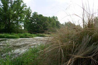 manzara manzara doğa ağaçları çiçekler nehir suyu pınarı