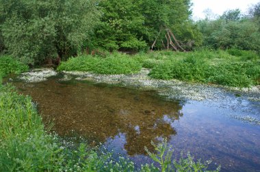 manzara manzara doğa ağaçları çiçekler nehir suyu pınarı