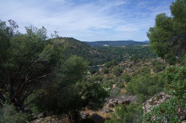 manzara manzarası doğa ağaçları dağlar açık bahar bitkileri