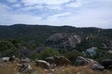 manzara manzarası doğa ağaçları dağlar açık bahar bitkileri