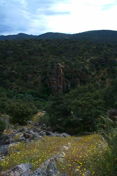 自然景观山水植物室外春天 — 图库照片