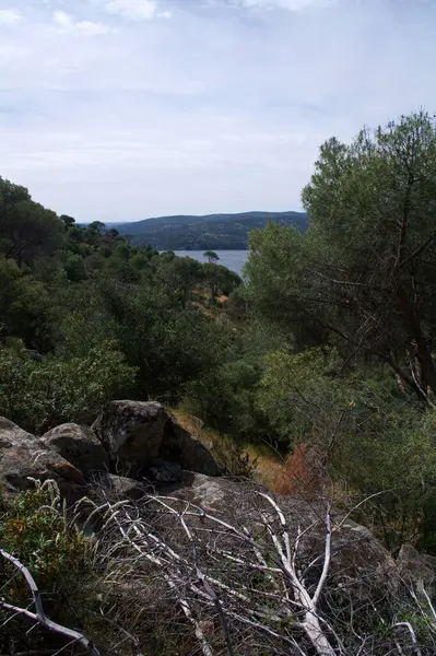 Paisaje Vista Naturaleza Árboles Montañas Plantas Exterior Primavera — Foto de Stock