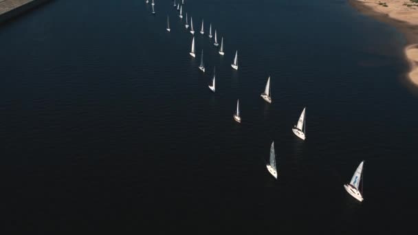 Regata Yate Gran Número Barcos Están Navegando Río Amanecer Verano — Vídeos de Stock