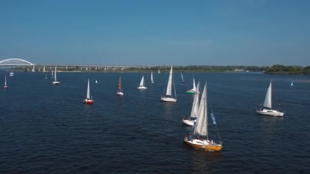 Yacht Regatta Grande Número Navios Estão Navegando Rio Summer Dawn — Vídeo de Stock