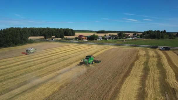 秋の小麦を収穫します コンバイン収穫機は穀物を除去します ライ麦の収穫の空中写真 — ストック動画