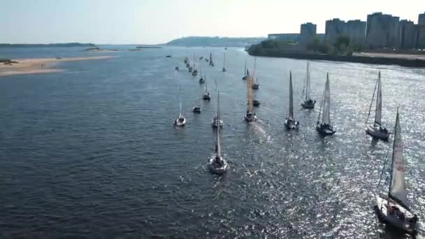 Яхт Регата Велика Кількість Кораблів Пливе Річці Літній Світанок Яхт — стокове відео