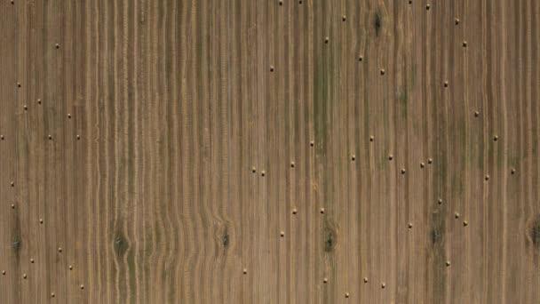 Haystacks Campo Vista Superior Fotografía Aérea Cosecha Heno Verano Para — Vídeos de Stock