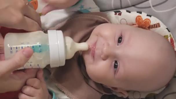 Ett Spädbarn Äter Modersmjölksersättning Från Flaska Mata Baby Närbild Babyns — Stockvideo