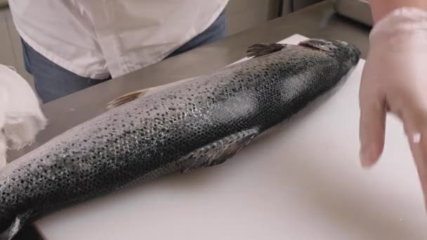 Men Hands Carefully Cut Red Fish Salmon Prepare Making Rolls — Stock Video