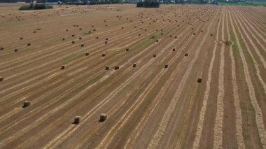 Sapkın samanlarla bir tarlayı vurmak. Güzel manzara. Sonbaharın başlangıcı.