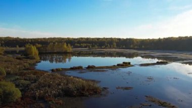 Sarı ağaçlarla çevrili bir gölün üzerinde şafak vakti uçmak. Altın sonbahar. Ağaçlar suya yansıyor.