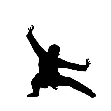 Dövüş sanatları kaplanı pozu..