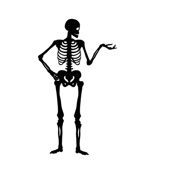 Silhouette human skeleton showing or introducing. Symbol Halloween. — Stock Vector