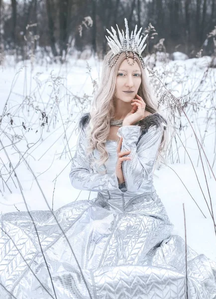 Kış Ormanı Arka Planında Kar Kraliçesi Kostümü Resim — Stok fotoğraf