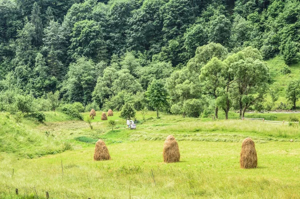 Krajobraz Stogu Siana Polu Pszczelarza Garniturze Pobliżu Ula Letni Krajobraz — Zdjęcie stockowe