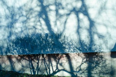 Shadows of tree branches without leaves on the wall photo natural graphic drawing.Grunge background.