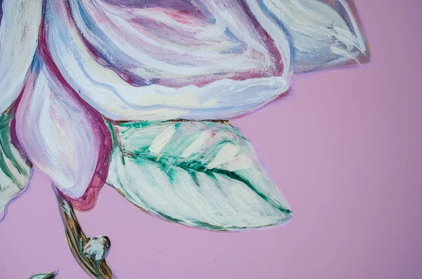 Målning Magnolia Kronblad Solid Rosa Bakgrund Horisontell Fjäder Blommig Banner — Stockfoto