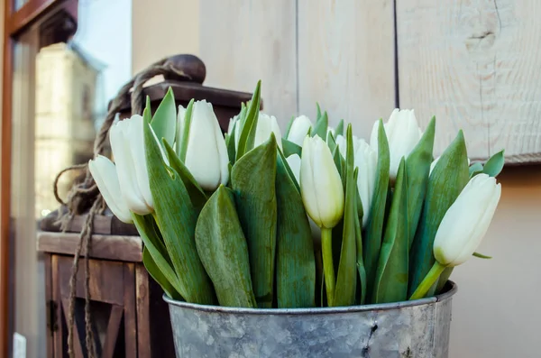 Ligne Tulipes Fraîches Blanches Pures Sur Une Nappe Légère Format — Photo