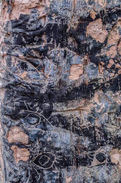 Abstrakter Hintergrund Steinmauer Textur Ethnischen Stil Mit Muschel Oder Kiesspuren — Stockfoto
