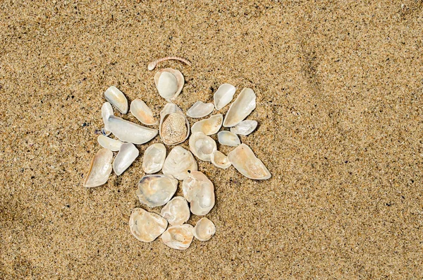 天使は砂の上に白い貝殻を置いた 夏のリラクゼーション海の写真 — ストック写真