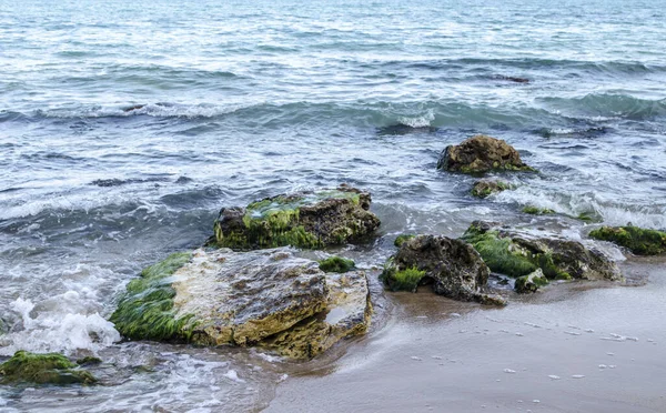 Turquoise shallow water surface and rocks stones on sea floor. Shallow transparent sea water rocks at the bottom