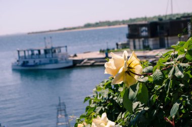 Bir deniz manzarasının arka planında bir gemiyle hafif bir çay yükseldi. Yaz seyahati fotoğrafı.