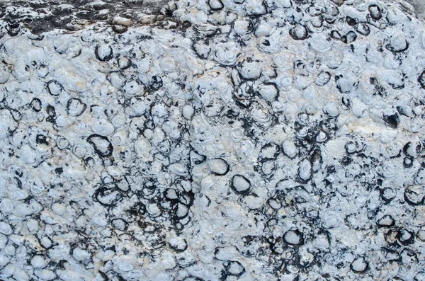 Abstract Background Stone Wall Texture Ethnic Style Seashell Gravel Traces — Fotografia de Stock