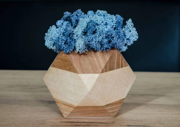 Scandinavian moss in a wooden planter on a wooden table.Natural decor in a modern interior is stabilized colored moss.