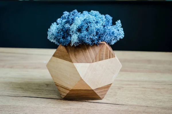 Scandinavian moss in a wooden planter on a wooden table.Natural decor in a modern interior is stabilized colored moss.