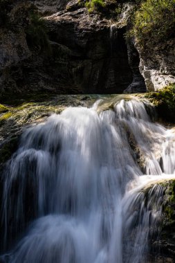 Ormanda akan bir derenin küçük şelaleleri.